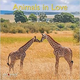 Animals in Love 2021 - Wand-Kalender - Broschüren-Kalender - A&I - 30x30 - 30x60 geöffnet indir