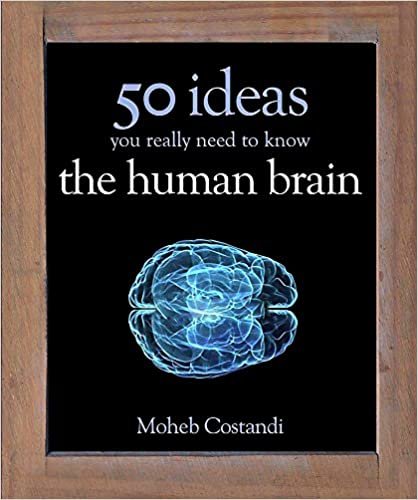 50 Human Brain Ideas You Really Need to Know indir