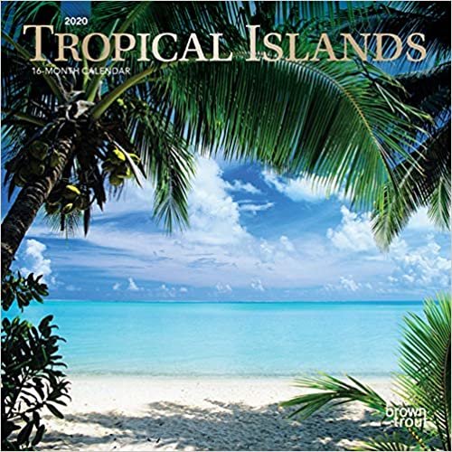 Tropical Islands 2020 Mini Wall Calendar