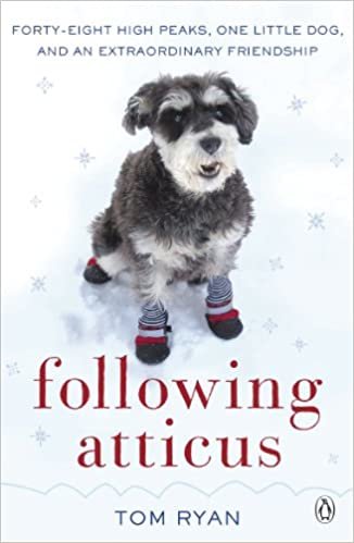 Following Atticus: How a little dog led one man on a journey of rediscovery to the top of the world