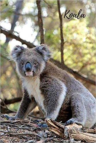 Koala: Animal Notebook for Kids, Notebook for Coloring Drawing and Writing (110 Pages, Unlined, 6 x 9) (Animal Glossy Notebook)
