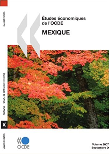 Études économiques de l'OCDE : Mexique 2007: Edition 2007: Mexique - Volume 2007-18 (Etudes Economiques De L'ocde) indir