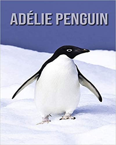 Adélie Penguin: Fun Learning Facts About Adélie Penguin