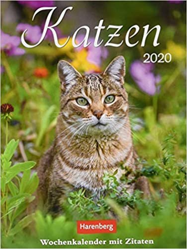 Katzen - Kalender 2020