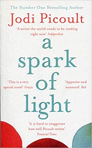 A Spark of Light: THE NUMBER ONE SUNDAY TIMES BESTSELLER