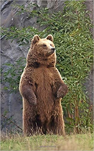 Notebook: brown bear animal world natural history bears