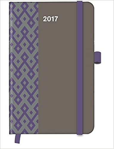2017 Stone Diary - teNeues Cool Diary - Weekly 9 x 14 cm indir