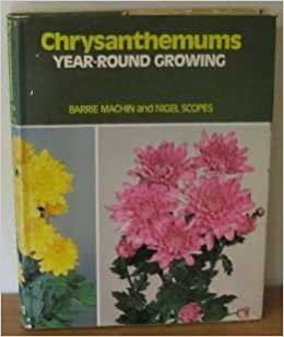 Chrysanthemums: Year-Round Growing