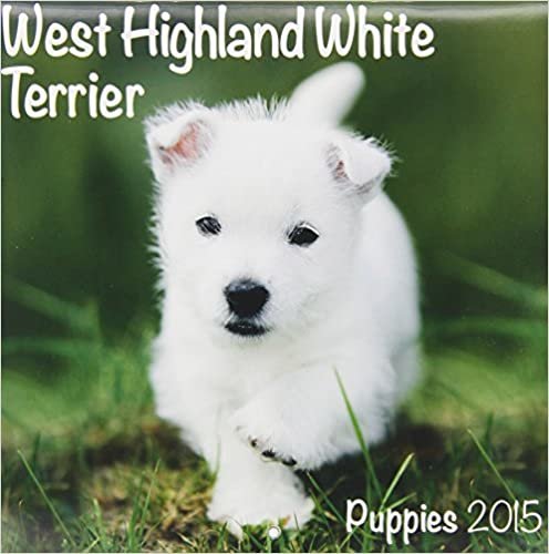 West Highland Terrier (Mini) 2015