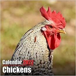 Calendar 2022 Chickens: Cute Chickens Photos Monthly Mini Calendar | Small Size