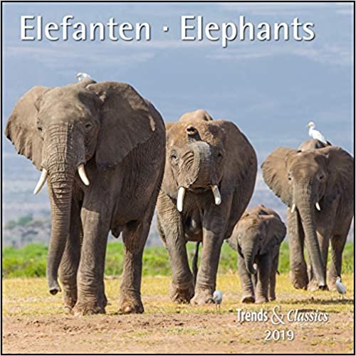 Elefanten Elephants 2019 - Trends & Classics Kalender