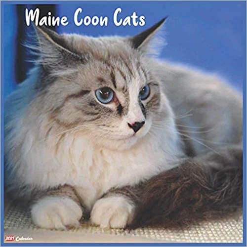 Maine Coon Cats 2021 Calendar: Official Maine Coon Cats Wall Calendar 2021, 18 Months