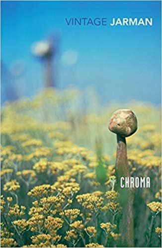 Chroma: A Book of Colour - June '93 indir