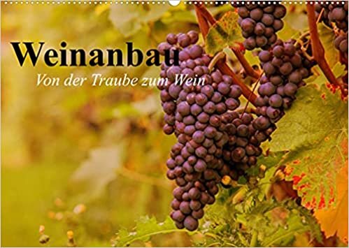Weinanbau. Von der Traube zum Wein (Wandkalender 2022 DIN A2 quer): Schöne Impressionen vom interessanten Weinbau (Geburtstagskalender, 14 Seiten ) (CALVENDO Natur)