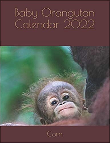 Baby Orangutan Calendar 2022