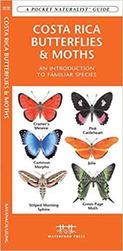Costa Rica Butterflies & Moths: A Folding Pocket Guide to Familiar Species (A Pocket Naturalist Guide)
