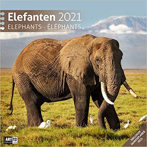 Elefanten 2021 Broschürenkalender indir