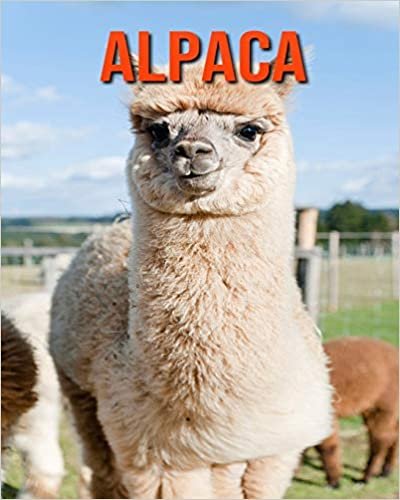 Alpaca: Fascinating Alpaca Facts for Kids with Stunning Pictures!