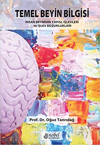 Temel Beyin Bilgisi: İnsan Beyninin Yapısı, İşlevleri ve İşlev Bozuklukları