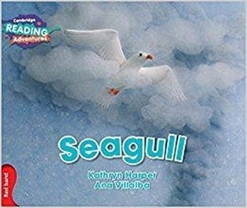 Seagull Red Band (Cambridge Reading Adventures) indir