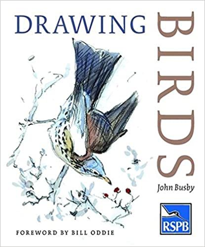 Drawing Birds (RSPB)
