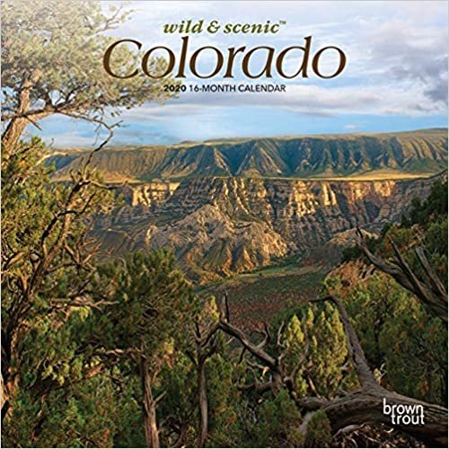 Wild & Scenic Colorado 2020 Calendar indir