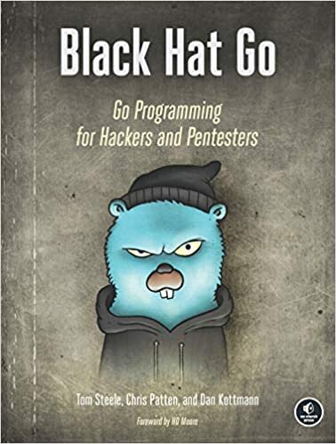 Black Hat Go: Go Programming For Hackers and Pentesters indir
