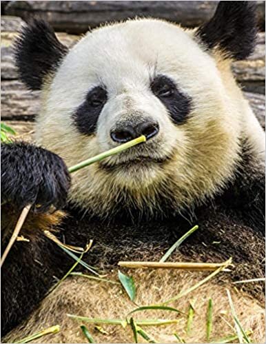 Notebook: Panda Bear Animal Zoo Bamboo Nature 8.5" x 11" 150 Ruled Pages