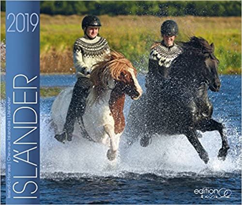 Island Pferde 2019