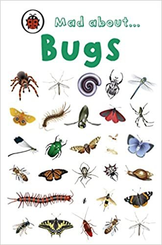 Mad About Bugs (Ladybird Minis) indir