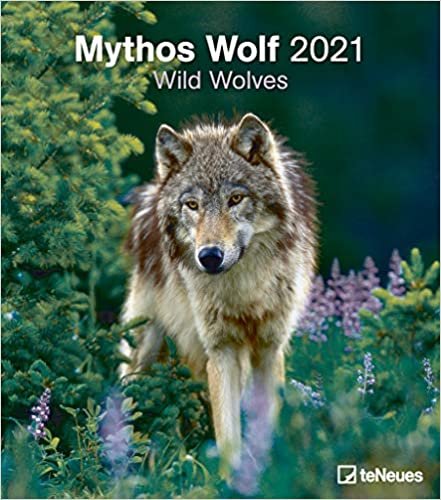 Mythos Wolf 2021 - Foto-Kalender - Wand-Kalender - 30x34: Wild Wolves indir