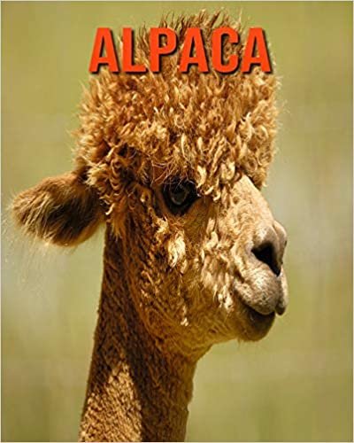 Alpaca: Amazing Pictures and Facts About Alpaca