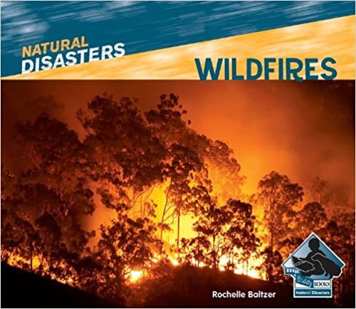 Wildfires (Big Buddy Books: Natural Disasters (Library))