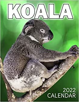 Koala Calendar 2022: "Monthly Planner Home Office Decor 8.5"" x 22"" (Open) Photo Poster Of AdorableAustralian Animal"