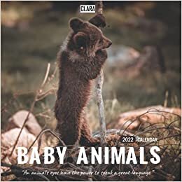 Baby Animals 2022 Calendar: Special gifts for all ages and genders with 18-month Mini Calendar 2022