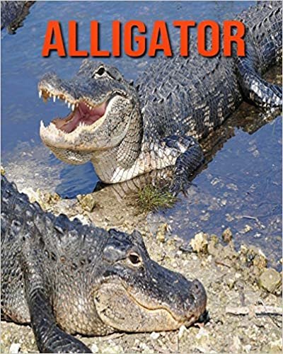 Alligator: Amazing Photos & Fun Facts Book About Alligator For Kids