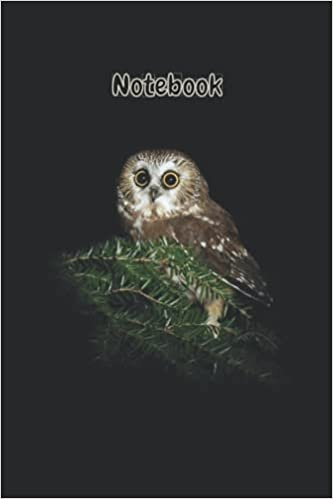 owl notebook