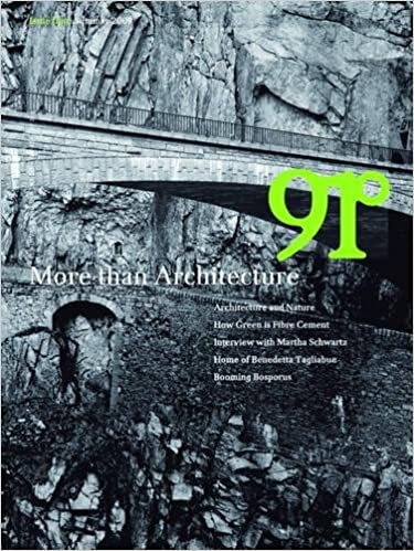 91 (91 Series): More than Architecture
