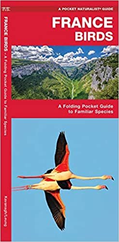France Birds: A Folding Pocket Guide to Familiar Species (Pocket Naturalist Guide) (Wildlife and Nature Identification)