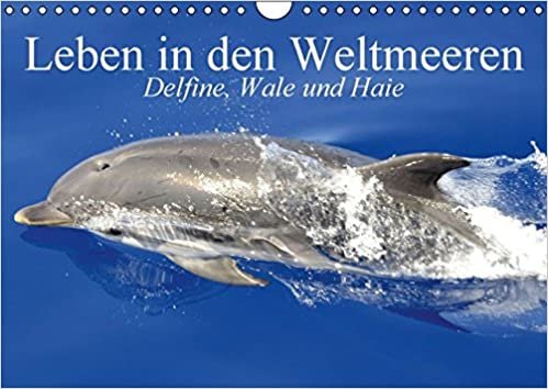 Leben in den Weltmeeren. Delfine, Wale und Haie (Wandkalender 2016 DIN A4 quer): Gleiten und Leben in den Ozeanen der Welt (Monatskalender, 14 Seiten ) (CALVENDO Tiere)