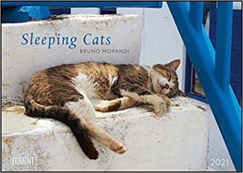 Sleeping Cats 2021 - Wandkalender - Format 29,7 x 42 cm