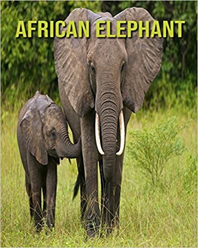 African elephant: Fascinating African elephant Facts for Kids with Stunning Pictures! indir