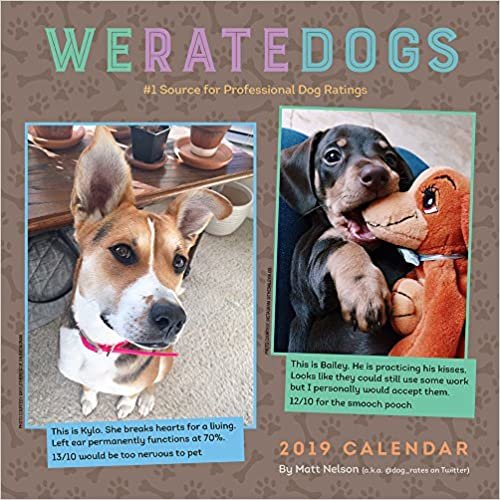 We Rate Dogs 2019 Square Wall Calendar