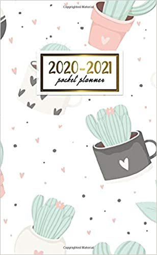 2020-2021 Pocket Planner: Nifty Two-Year (24 Months) Monthly Pocket Planner and Agenda | 2 Year Organizer with Phone Book, Password Log & Notebook | Pretty Potted Cactus & Heart Pattern indir