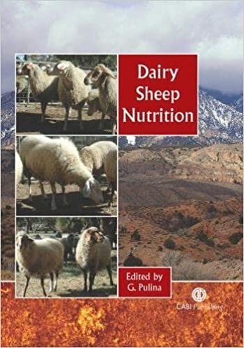 Dairy Sheep Nutrition indir