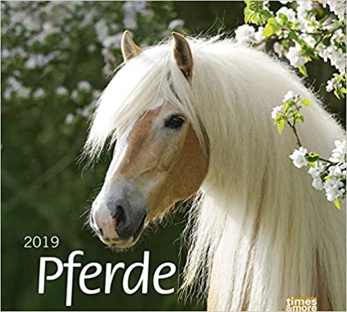 times & more Pferde Bildkalender 2019