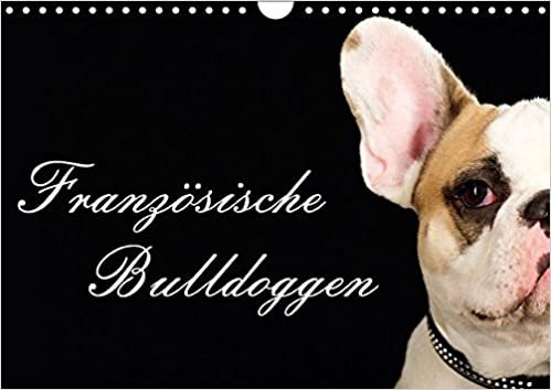 Französische Bulldoggen (Wandkalender 2017 DIN A4 quer): 13 Motive einer wunderbaren Hunderasse - Die Französische Bulldogge (Monatskalender, 14 Seiten ) (CALVENDO Tiere)