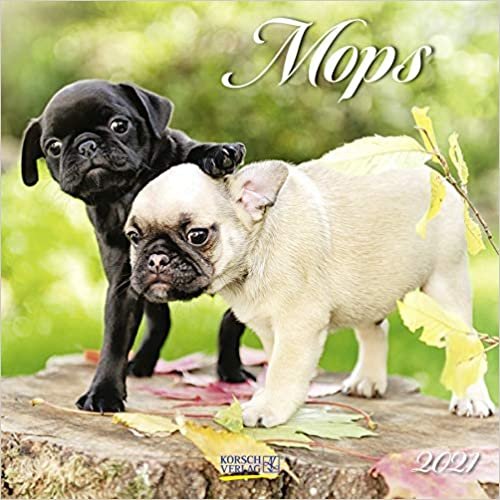 Mops 2021: Broschürenkalender mit Ferienterminen. Hunde-Kalender