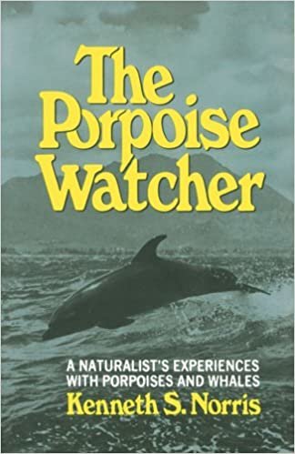 The Porpoise Watcher