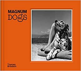 Magnum Dogs indir